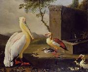 Adriaen Coorte Pelican and ducks in a mountain landscape or Oriental Birds oil on canvas